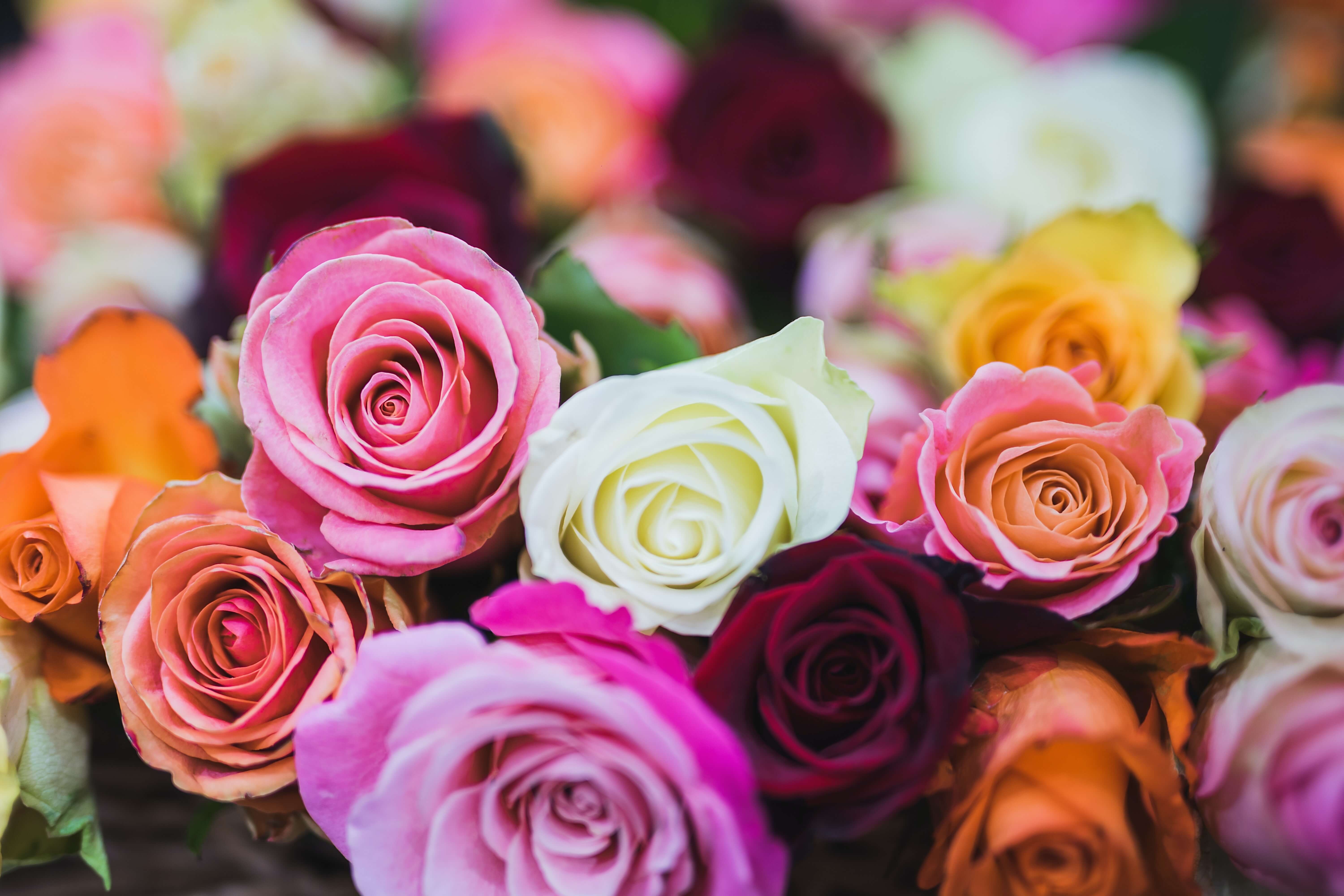 banner-img